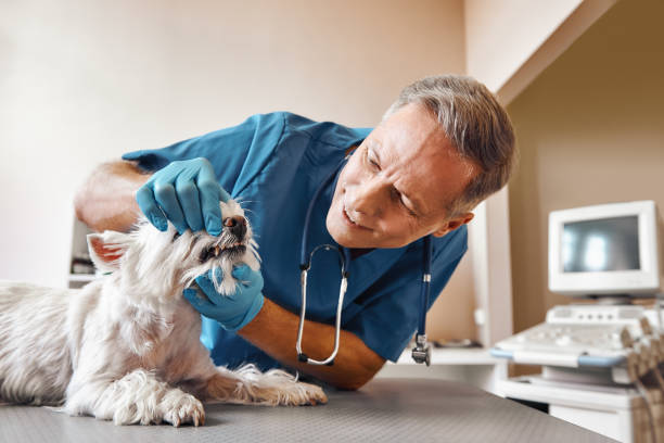 Best Emergency Tooth Extraction in Beacon Hill, WA